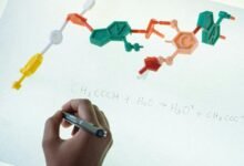 online work success formula