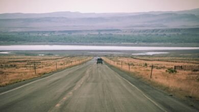 traffic lead generation solution